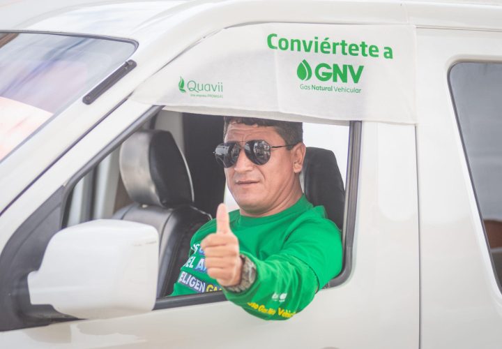 promigas quavii
