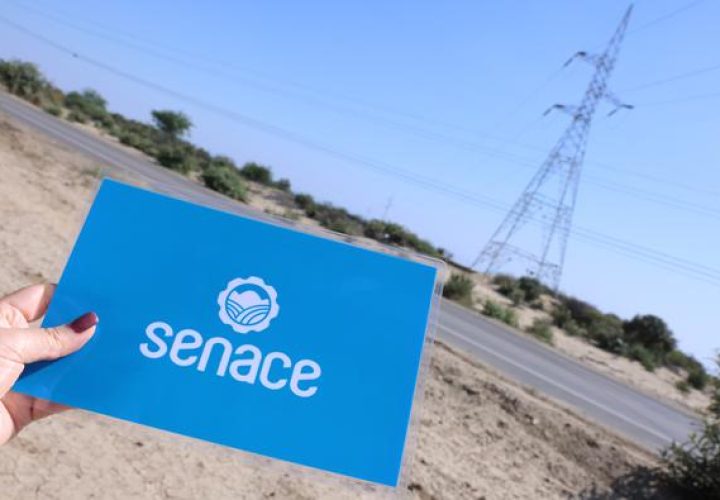 senace