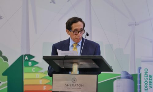 «El hidrógeno verde es una solución prometedora para descarbonizar sectores clave»